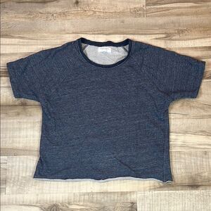Everlane crop cutoff sweatshirt heather blue crewneck tee size large